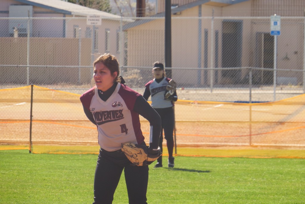 Wolverines Softball 4