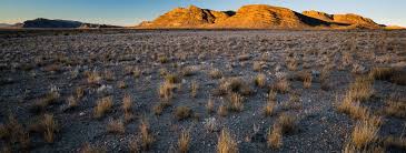 Basin Range National Monument